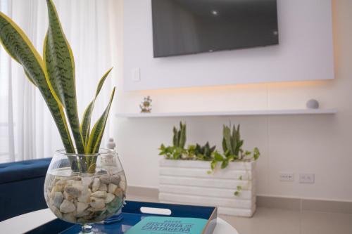 Apartamento Ap Sunno Beach 503