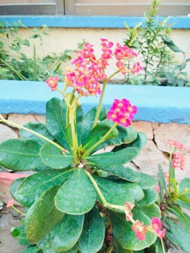 Apartamento Simply Relax Close To The Beach