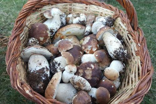 Apartamento Les Forques De'n Pep