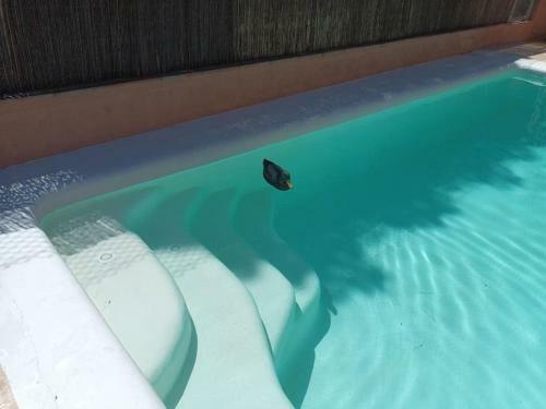 Alrededores Barcelona,casa Con Encanto Bed & Breakfast