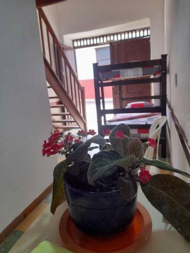 Apartaestudio Cerca A Parque Zapatoca