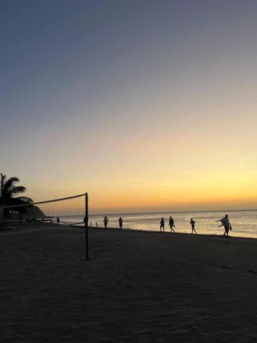 Apartamento Amazing Beachfront Apt With Luxury Hotel Amenities