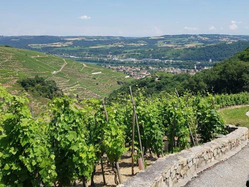 Hotel H�tel Le Domaine Des Vignes