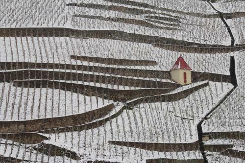 Hotel H�tel Le Domaine Des Vignes