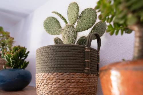 Apartamento A Spanish Gem Close To Sea