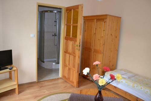 Bed & Breakfast Go?ciniec Yaga
