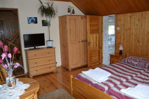 Bed & Breakfast Go?ciniec Yaga
