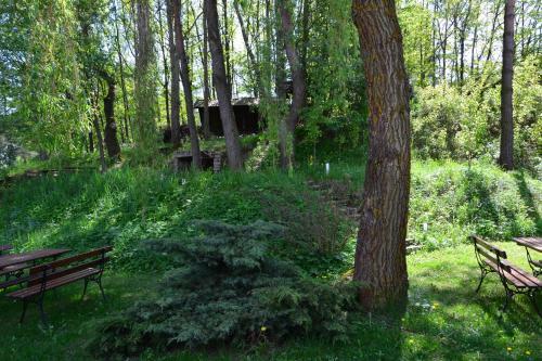 Bed & Breakfast Go?ciniec Yaga