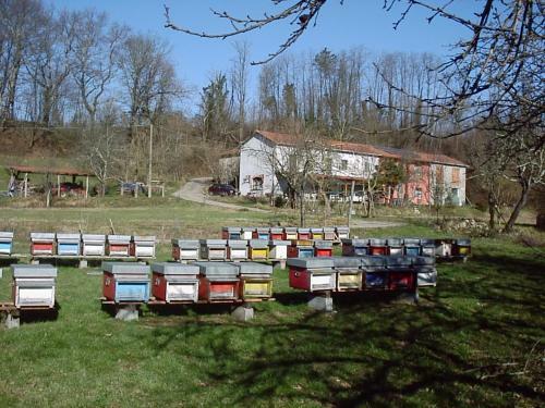 Agroturismo Agriturismo C� Rossano