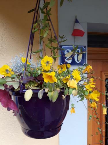 Bed & Breakfast Les Volets Bleus Alsace Vosges