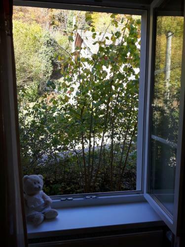 Bed & Breakfast Les Volets Bleus Alsace Vosges