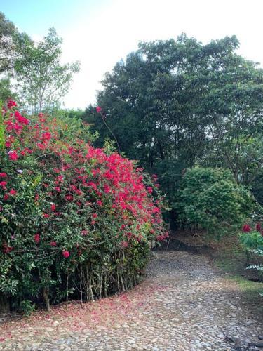 Villa Finca Completa Bizcocho