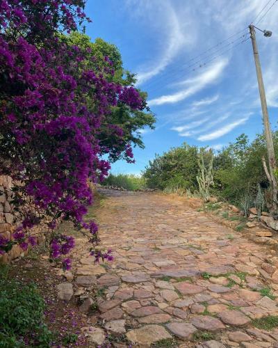 Agroturismo Hospedaje Villa Mafe