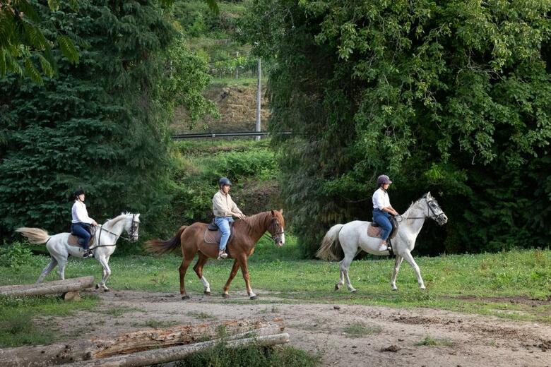 Agroturismo Quinta Do Outeiro 1598