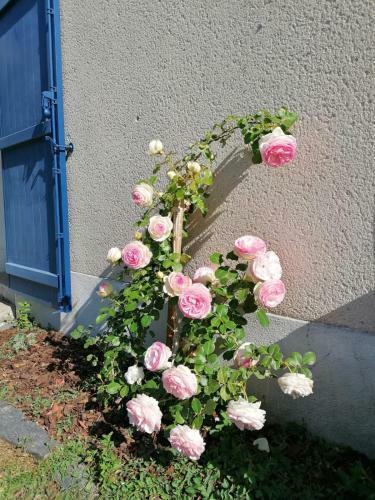 Bed & Breakfast La Petite Boire - Chambres D'h�tes