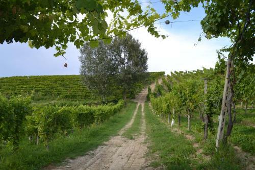 Agroturismo Tenuta La Pergola