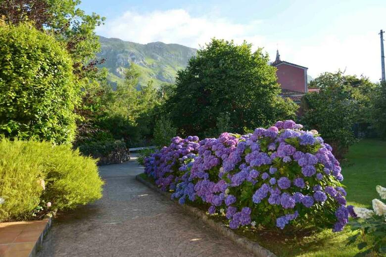 Hotel Rural Arpa De Hierba