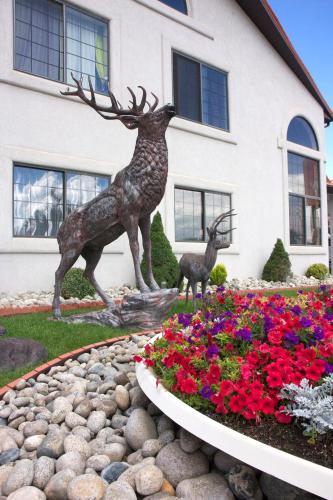 Hotel Gateway Inn And Suites