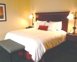Hotel Hampton Inn & Suites Salida