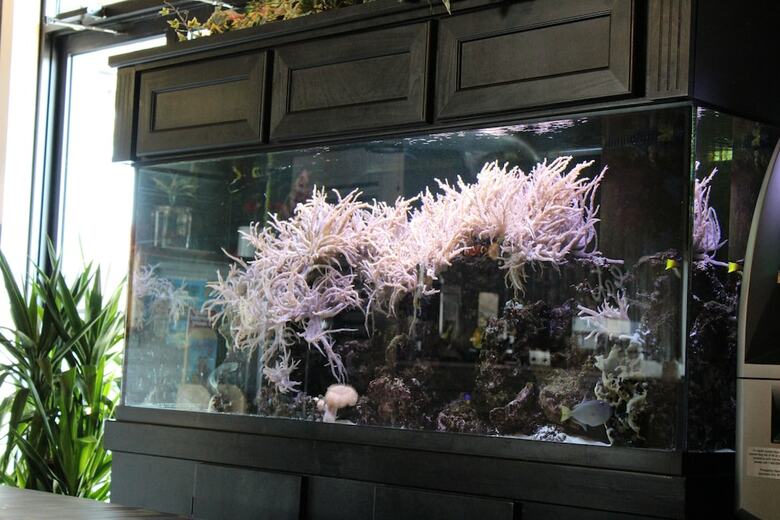 Hotel Village Inn Destin