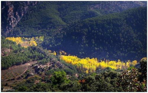 Apartamentos Tur�sticos Rurales Monte De Las �nimas