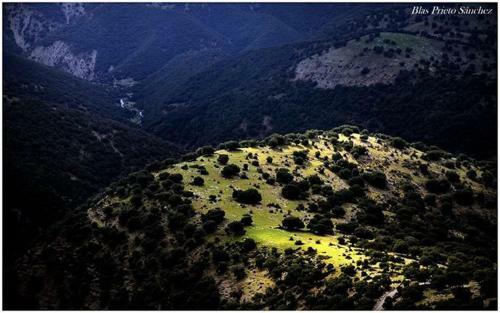 Apartamentos Tur�sticos Rurales Monte De Las �nimas