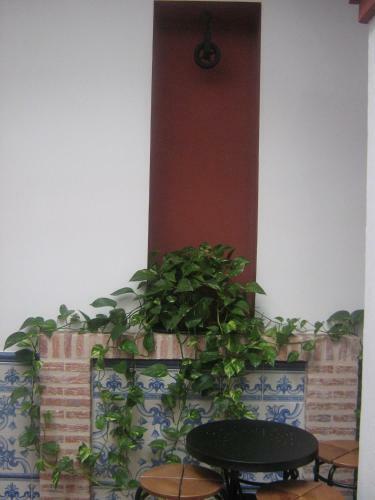 Apartamentos Turisticos Casa Cantillo