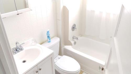 Sun N Fun Beachfront Vacation Rentals