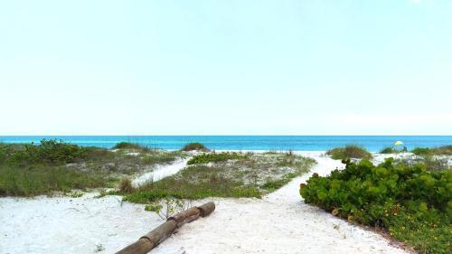 Sun N Fun Beachfront Vacation Rentals