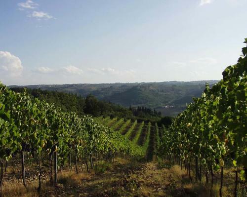 Agroturismo Agriturismo Macinello