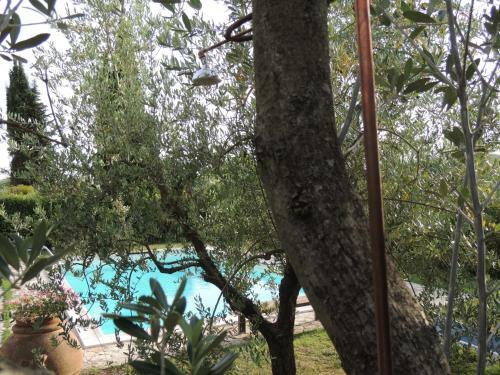 Agroturismo Agriturismo Macinello