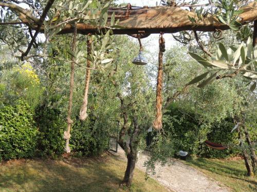 Agroturismo Agriturismo Macinello
