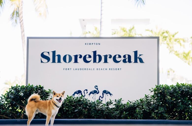Hotel Kimpton Shorebreak Fort Lauderdale Beach Resort By Ihg