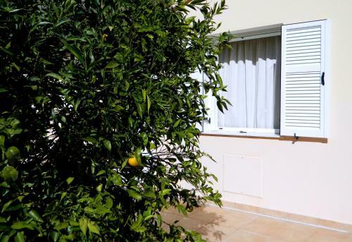 Apartamento Irene Studios Kefalonia