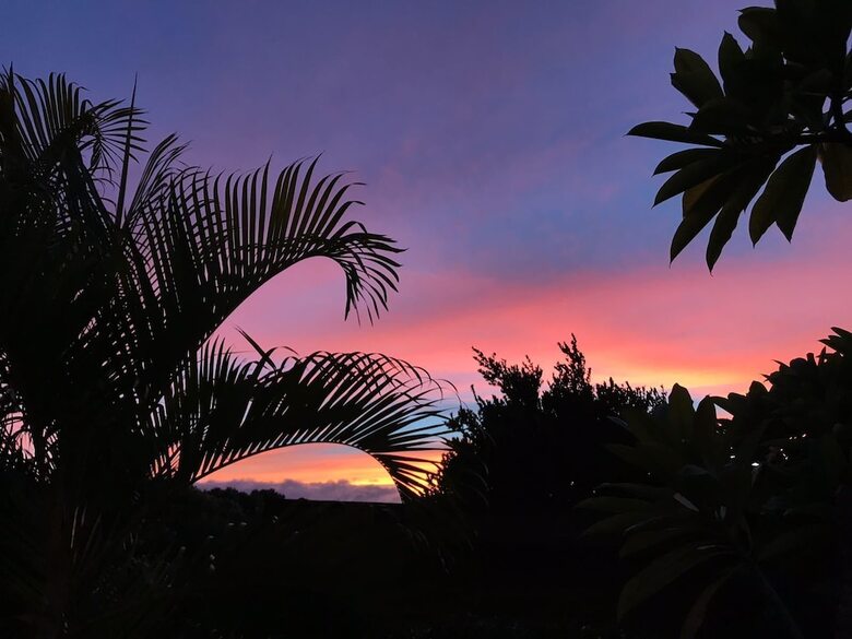 Bed & Breakfast Maui Garden Oasis