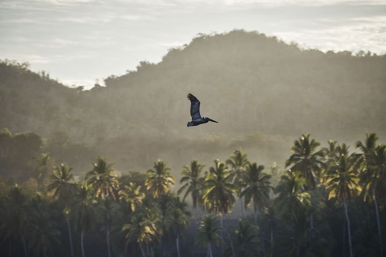 Hotel Four Seasons Resort Tamarindo