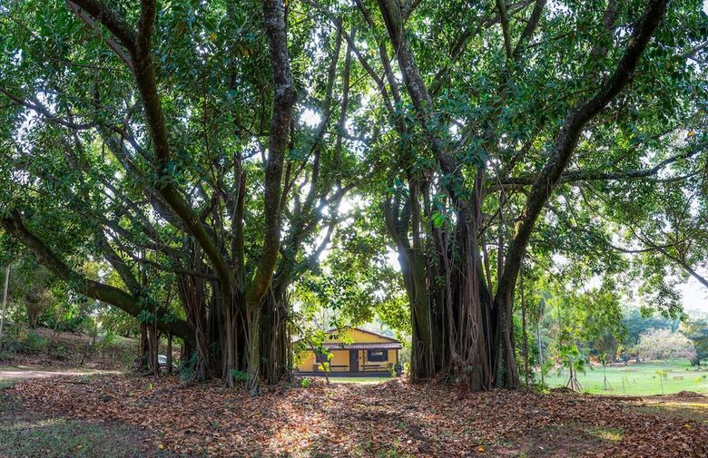 Hotel Fazenda Bela Vista