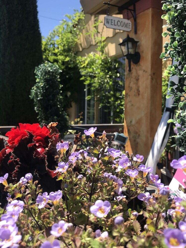 Hotel Chardonnay Lodge