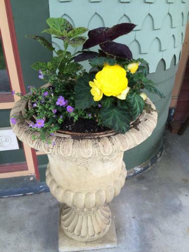 Grand Avenue Bed And Breakfast