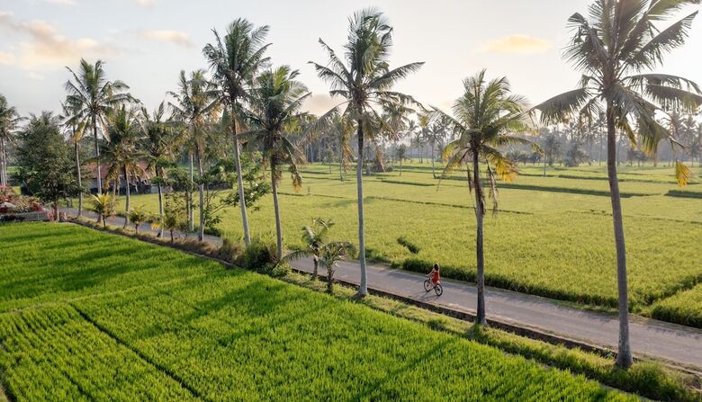 Hotel Thewakanda Resort A Pramana Experience