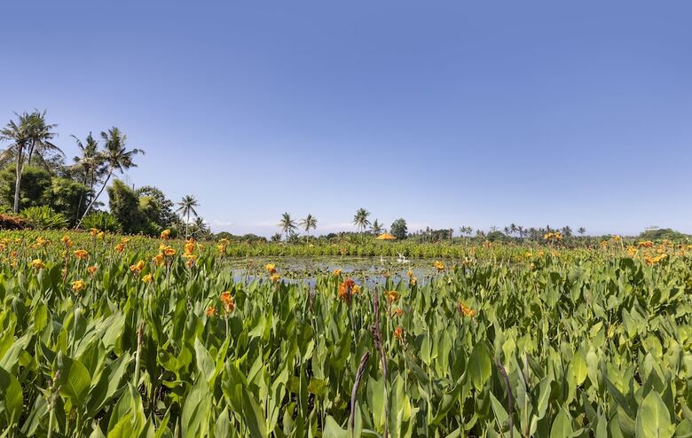 Hotel Swan Paradise A Pramana Experience