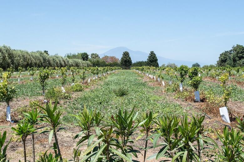 Agroturismo Tenuta San Calogero