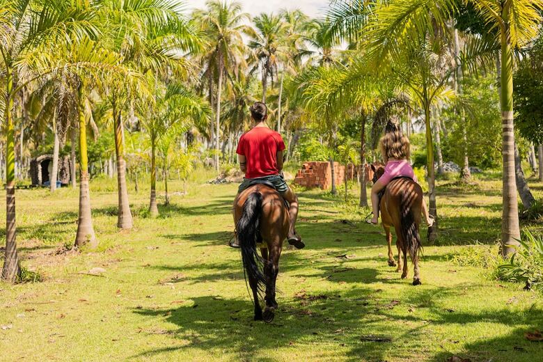 Hotel Eco Pousada Para�so Dos Coqueirais