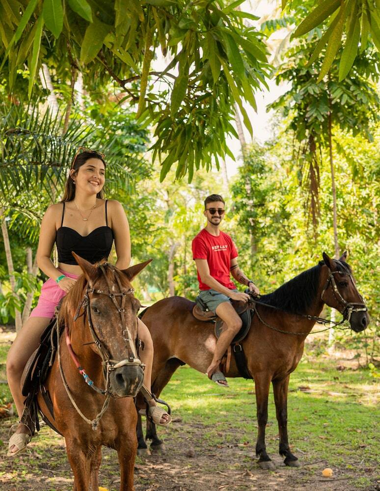 Hotel Eco Pousada Para�so Dos Coqueirais