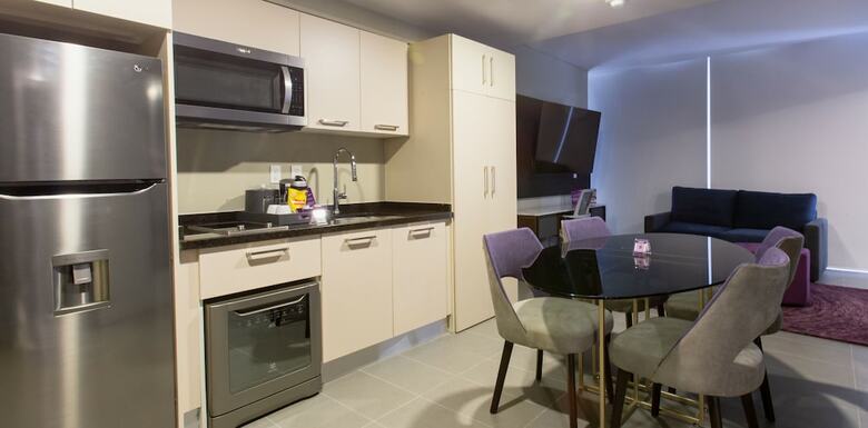 Hs Hotsson Long Stay Cdmx Condesa Sur