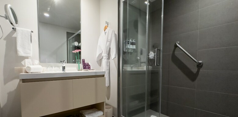 Hs Hotsson Long Stay Cdmx Condesa Sur