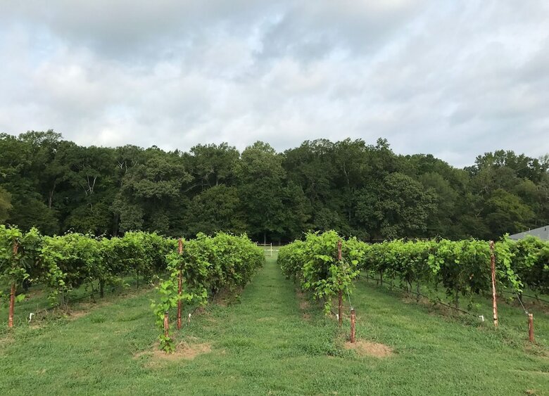 Hotel High Hill Farm