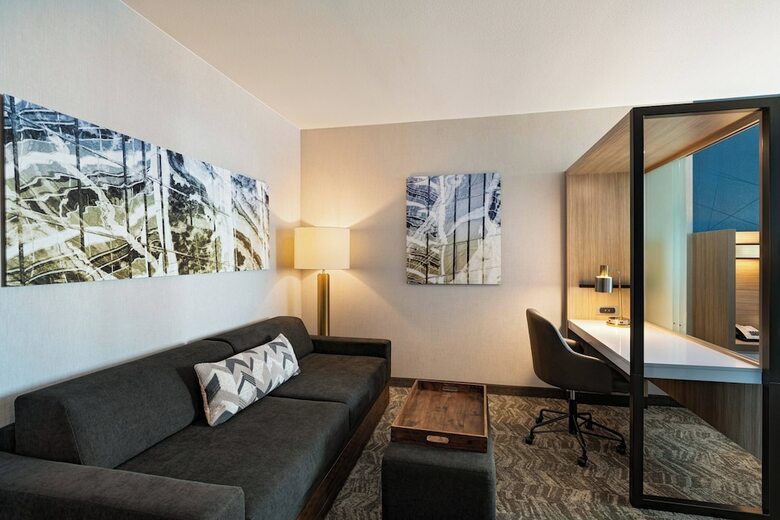 Hotel Springhill Suites By Marriott Dallas Richardson/university Area
