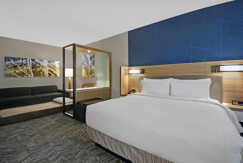 Hotel Springhill Suites By Marriott St. Paul Arden Hills