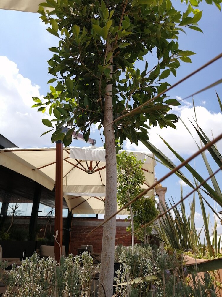 Hotel Boutique Ray�n 50